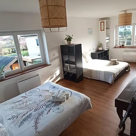 Maison Chaleureuse En Alsace * Ensisheim