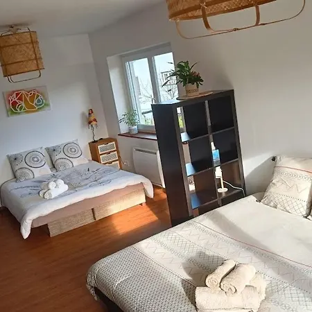 Vakantiehuis Maison Chaleureuse En Alsace *